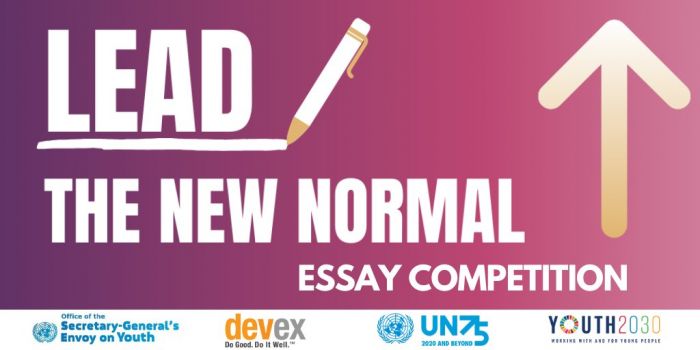 The Future We Want, The UN We Need – Essay Competition